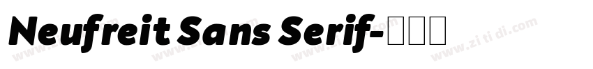 Neufreit Sans Serif字体转换